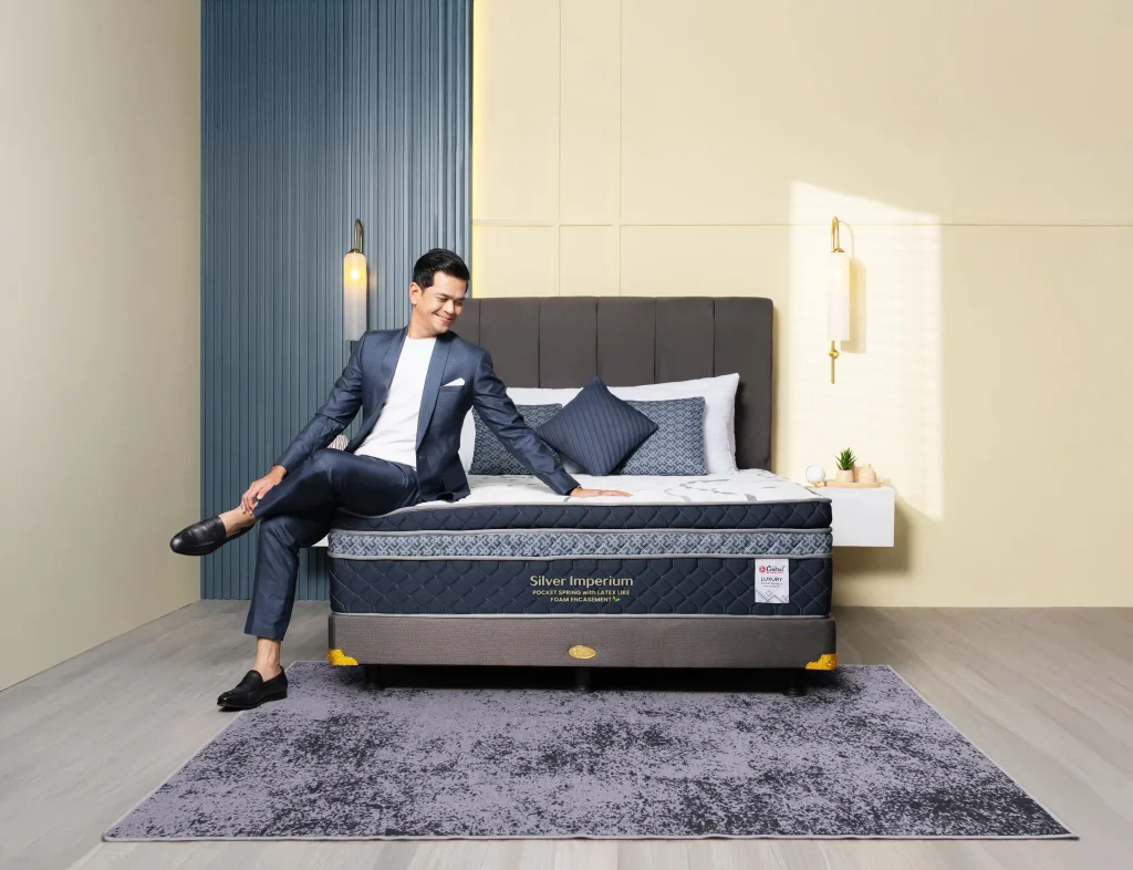 Central Spring Bed Silver Imperium Surya Insomnia