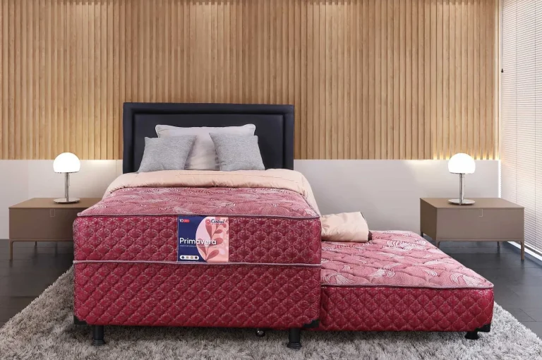 Primavera Rose 2 in 1