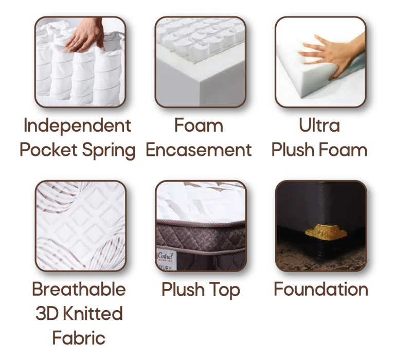 icon evergreen plus