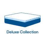 icon Deluxe Coll