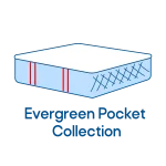 icon Evergreen Pocket Coll