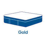 icon Gold (1)