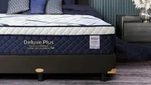 Spring Bed Harga 2 Jutaan Sudah Ada Pocket Spring