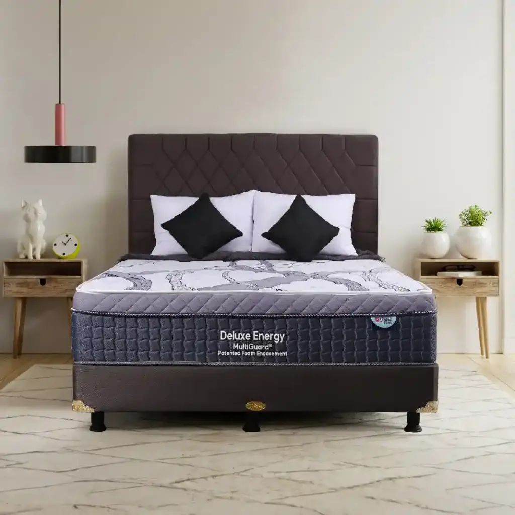 Deluxe Energy MultiGuard Patented Foam Encasement Kotak