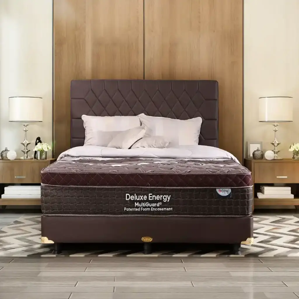 Deluxe Energy Dark MultiGuard Patented Foam Encasement Kotak