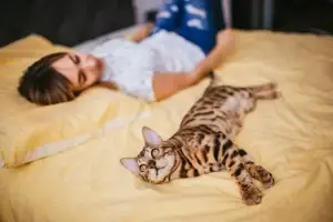 tidur dengan kucing